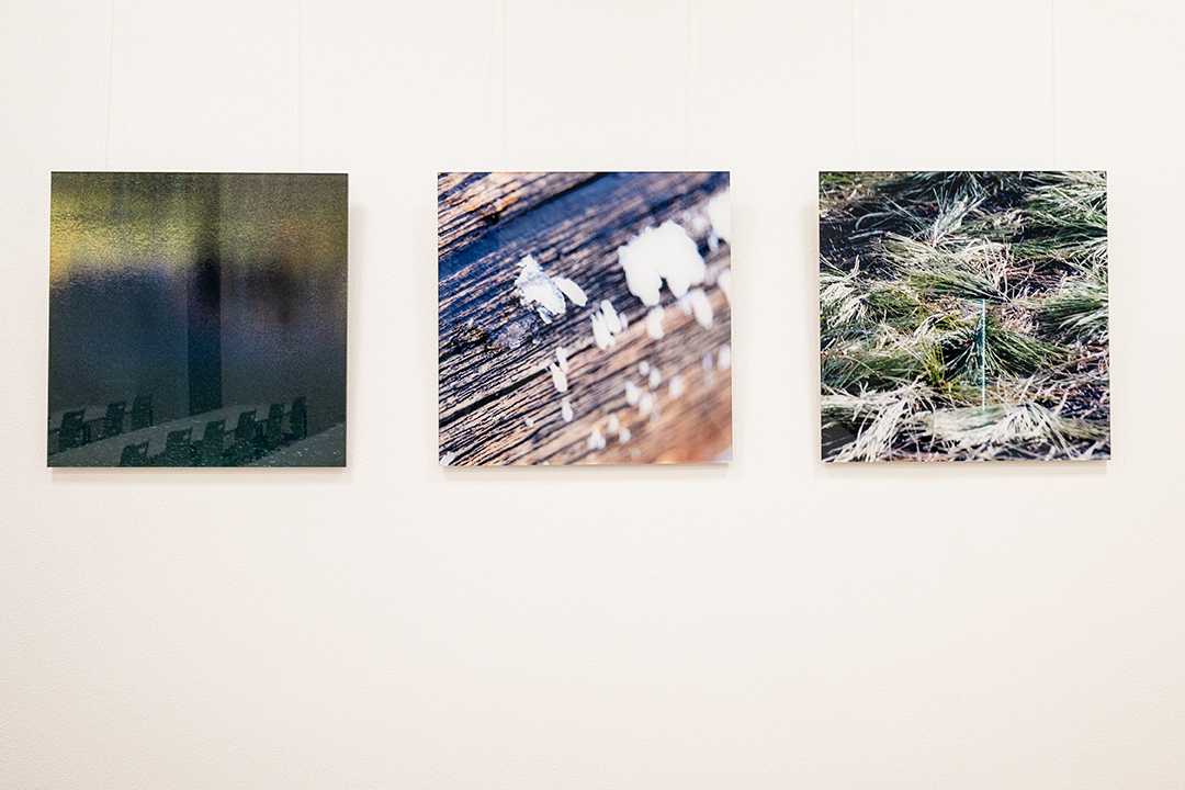 kunst trifft handwerk Ruth Kasper Fotokunst